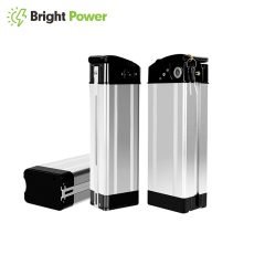 Silver Fish Ebike Battery Pack 48V 20Ah