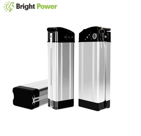 Silver Fish Ebike Battery Pack 48V 20Ah